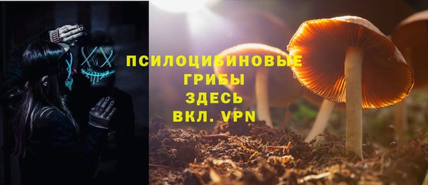 бошки Дмитриев