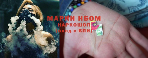 СК Дмитров