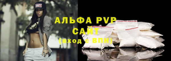 СК Дмитров