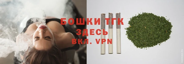 бошки Дмитриев
