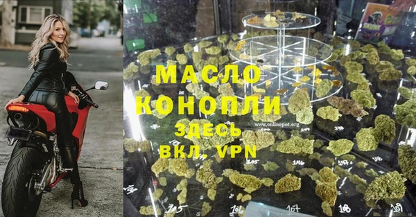 СК Дмитров