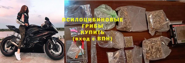 бошки Дмитриев