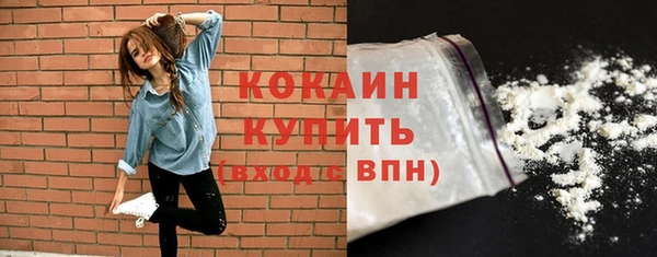 СК Дмитров